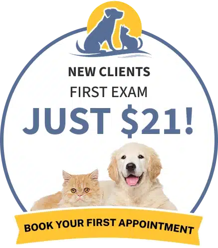 Book Your First Appointment